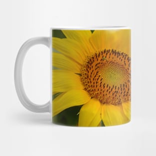 Sunflower 2 Mug